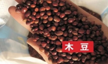 荒山种植哪种植物经济价值高?