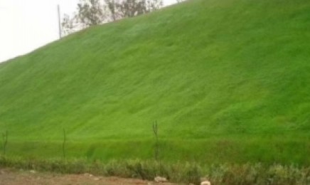 贵州荒山上种植哪类草会更加美观?