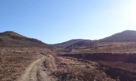 安徽省荒山复绿种植的时间