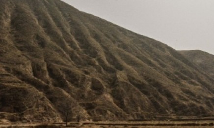 浙江省荒山复绿种植的时间