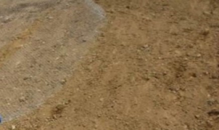 甘肃荒山绿化适合种植什么草类?