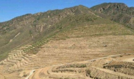 灌木适合在福建省荒山复绿种植吗?