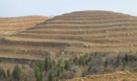 安徽省荒山复绿种植什么