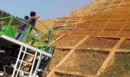 河北省荒山复绿种植要选什么植物?