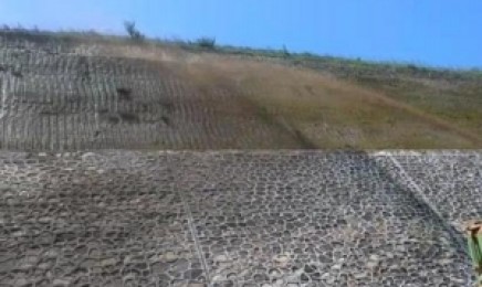 四川省荒山复绿种植选什么