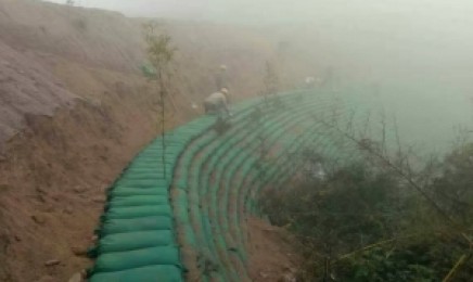 什么植物适合在山西省荒山种植