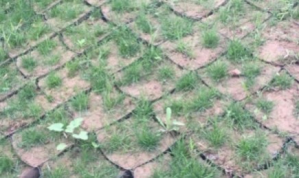山西省荒山适合种植草吗
