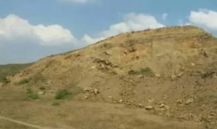 福建省荒山复绿种植如何种植效果好