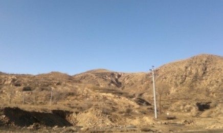 杭州荒山上可以种植的植物有哪些?