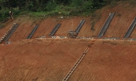 福建省绿化荒山可以喷播吗