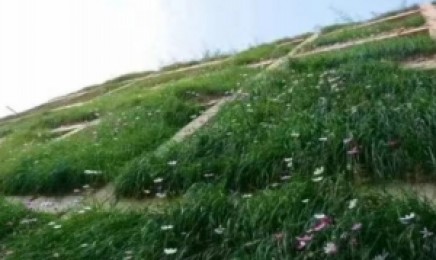 山西省绿化荒山适合什么时间种植?
