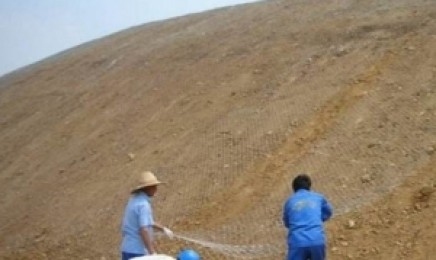 江苏省复绿荒山适合什么植物