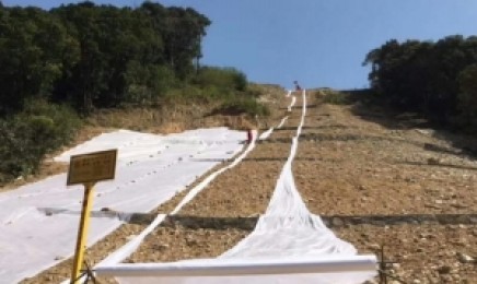 湖北省荒山绿化选择喷播的草类是什么?