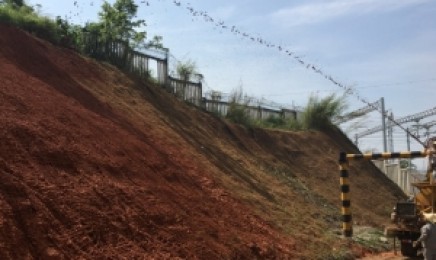 陕西省绿化荒山如何种植更加美丽