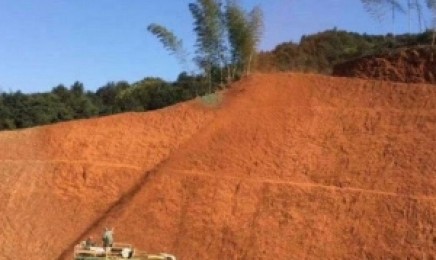 甘肃荒山想要复绿哪种植物成活率更高?