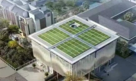 浙江省屋顶绿化可以选用什么植物种植?