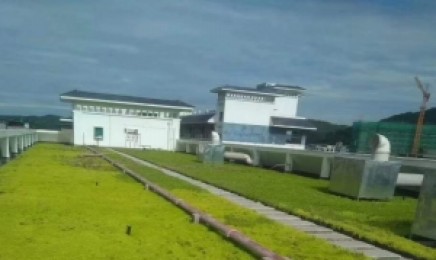 广东省屋顶绿化种植佛甲草多少钱,适合福建省种植吗?
