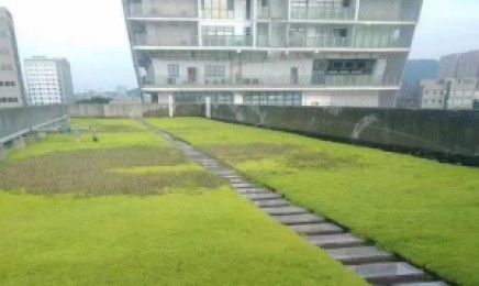 湖南省种植佛甲草屋顶绿化可以吗,佛甲草植物有毒吗?