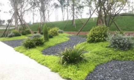 吉林省屋顶绿化多久浇水一次,种植后效果好吗?