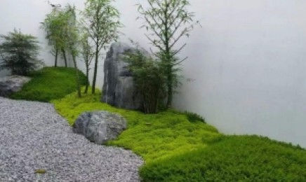 湖南省屋顶绿化种植青叶佛甲草种植的时间是几月,种植后效果可以吗?