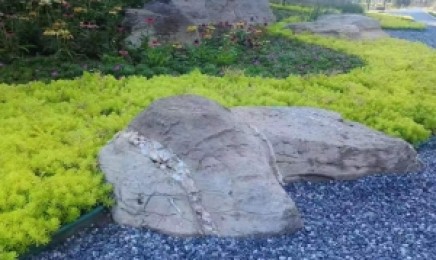 四川省屋顶绿化种植什么植物好?种植效果如何?