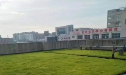 云南省种植屋顶绿化种植佛甲草能用多长时间,佛甲草的原产地是哪?