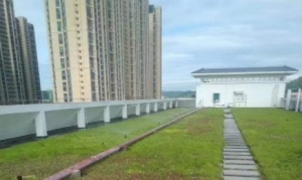 海南省屋顶绿化种植佛甲草多少钱,青叶佛甲草是多年生植物吗?