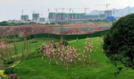 浙江省屋顶绿化种植什么植物,青叶佛甲草几月种植效果好?