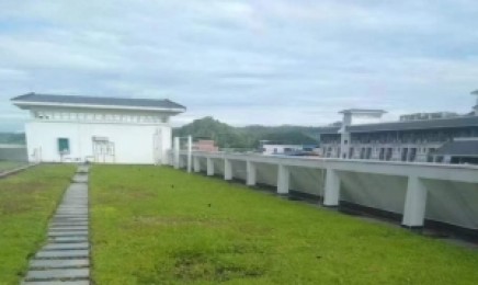 安徽省屋顶绿化使用佛甲草适合吗,青叶佛甲草的原产地是哪?
