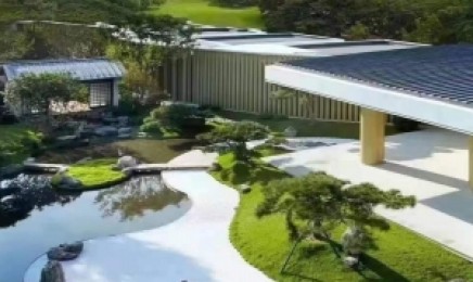 海南省佛甲草屋顶绿化隔热吗,佛甲草种植后效果好吗?