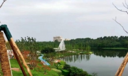 河南省屋顶绿化后有什么作用,适合福建省种植吗?