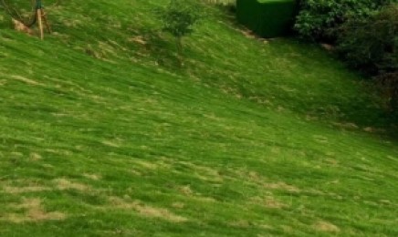 山西省屋顶绿化可以种植佛甲草,几月种植效果好?