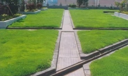 浙江省屋顶绿化可以使用植佛甲草吗,几月种植效果好?