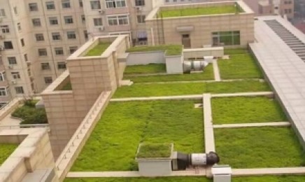 河北省屋顶绿化都可以种植什么,种植技术方法?