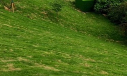山西省屋顶绿化可以种植佛甲草，几月种植效果好？