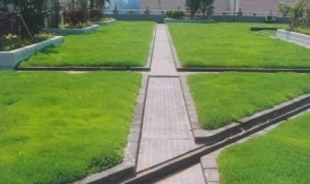 浙江省屋顶绿化可以使用植佛甲草吗，几月种植效果好？
